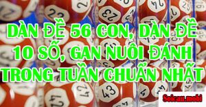 Dàn đề nuôi trong tuần chuẩn nhất